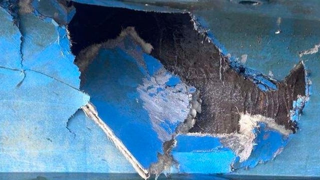 Family Rescued After Whale Collision Sinks Sailboat in Glacier Bay