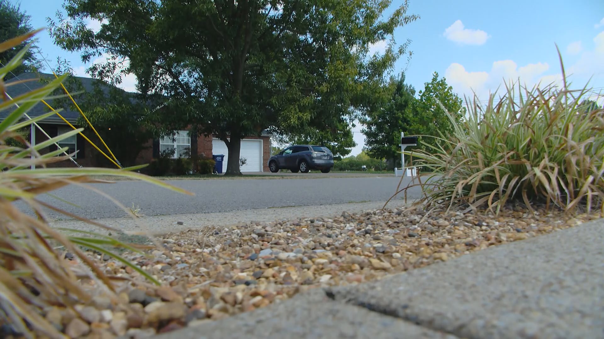 Man Critically Injured in Smyrna Shooting, Police Investigate Targeted Attack