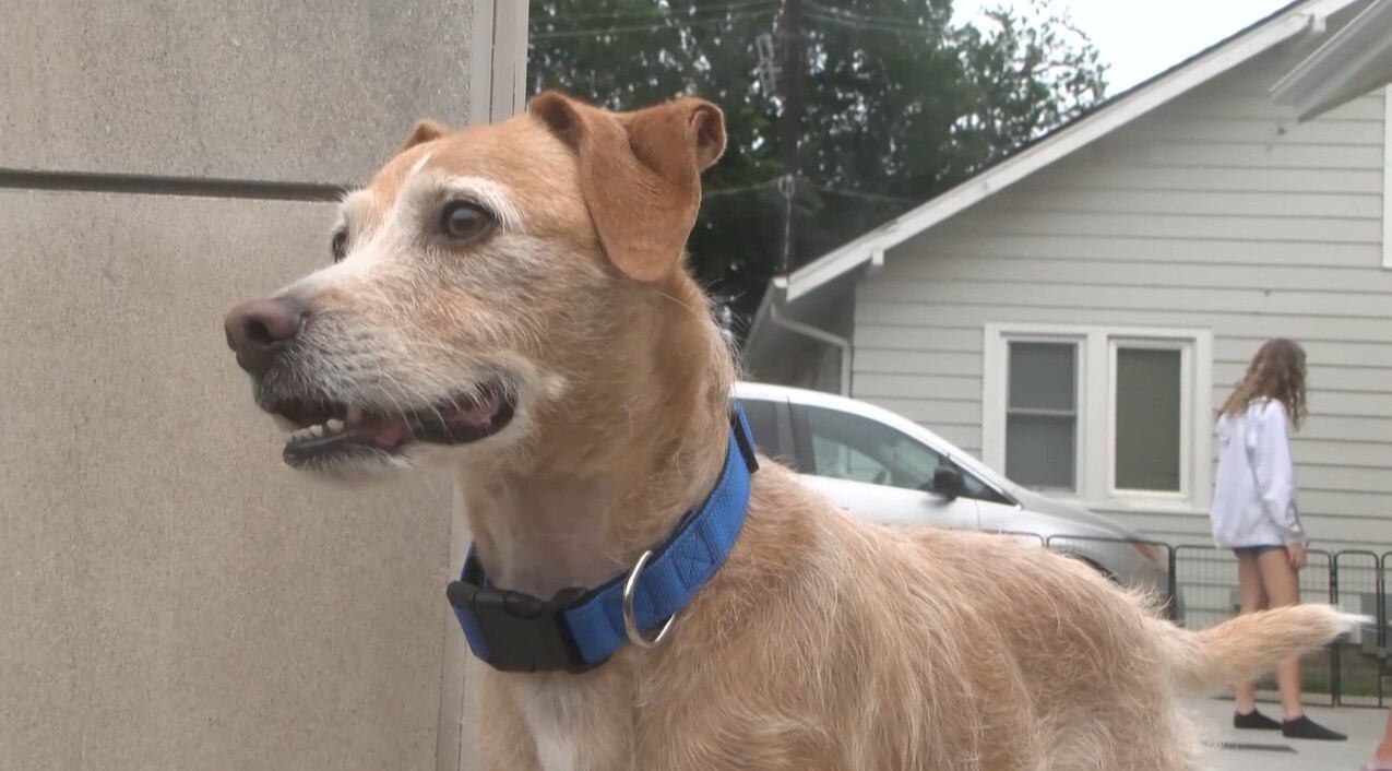 Nebraska Family Reunited With Dog Missing Since 2021