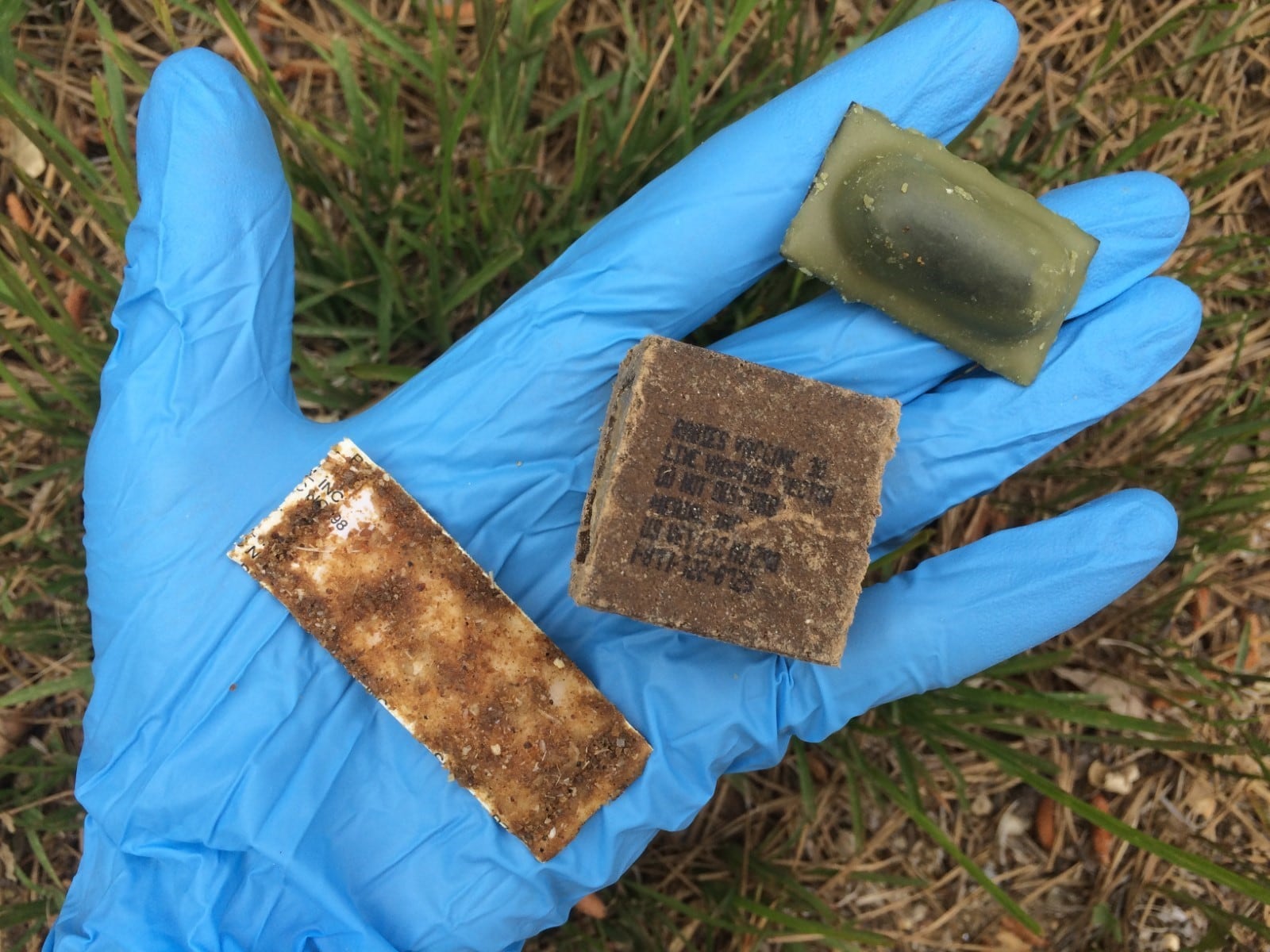 USDA to Distribute Millions of Rabies Vaccine Doses in Southeast This October