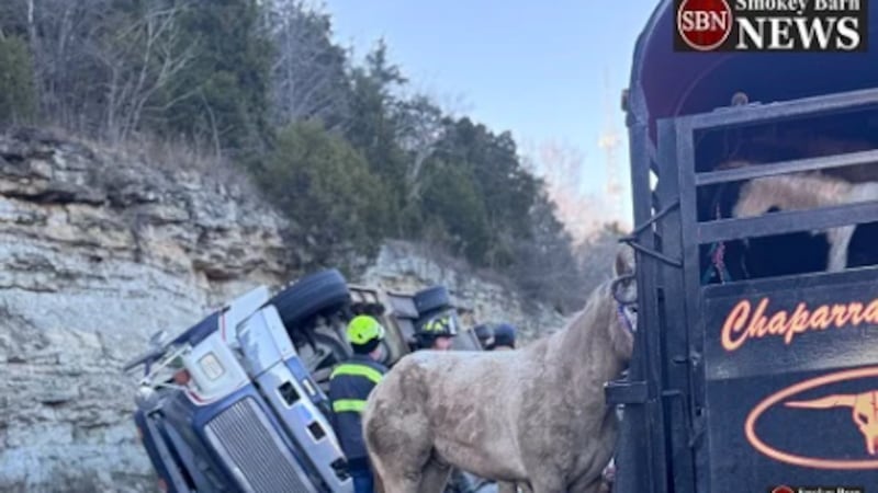 Overturned semi-truck hauling horses closes I-65 in Sumner County