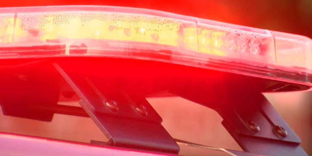 Man flown to Nashville hospital after being shocked by power lines while trimming tree in Kentucky