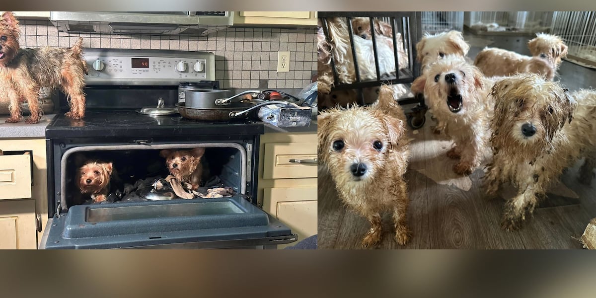 Dog dead, more than 100 more rescued from Middle TN puppy mill