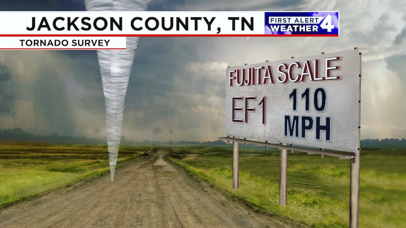 Tornado uprooted hundreds of trees in Jackson County