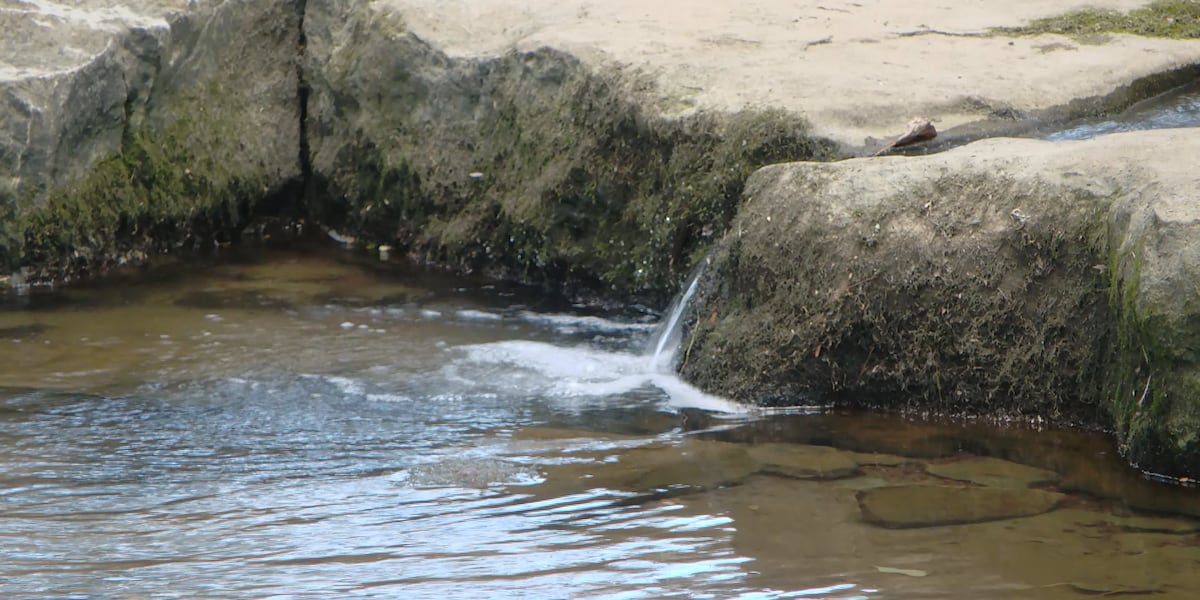 ‘It's raw sewage': Franklin neighbors demand accountability after repeated sewage overflows into creek