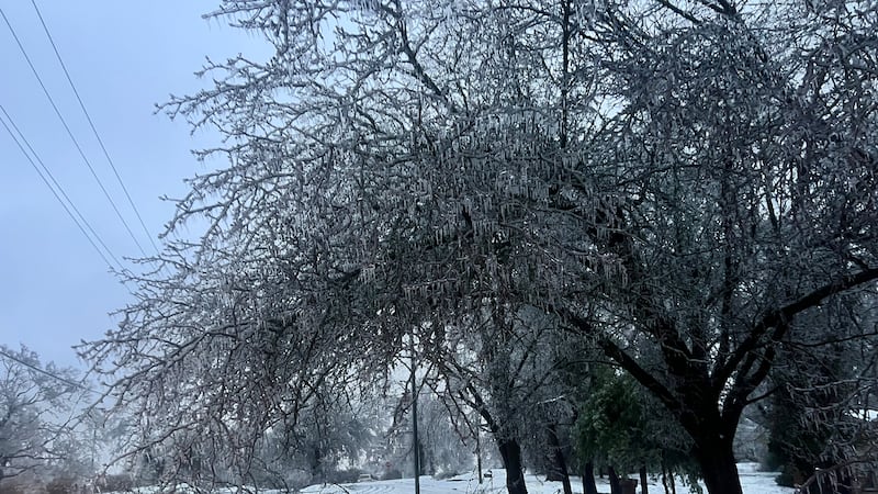 State establishes TBI hotline to help with welfare check in aftermath of winter storm