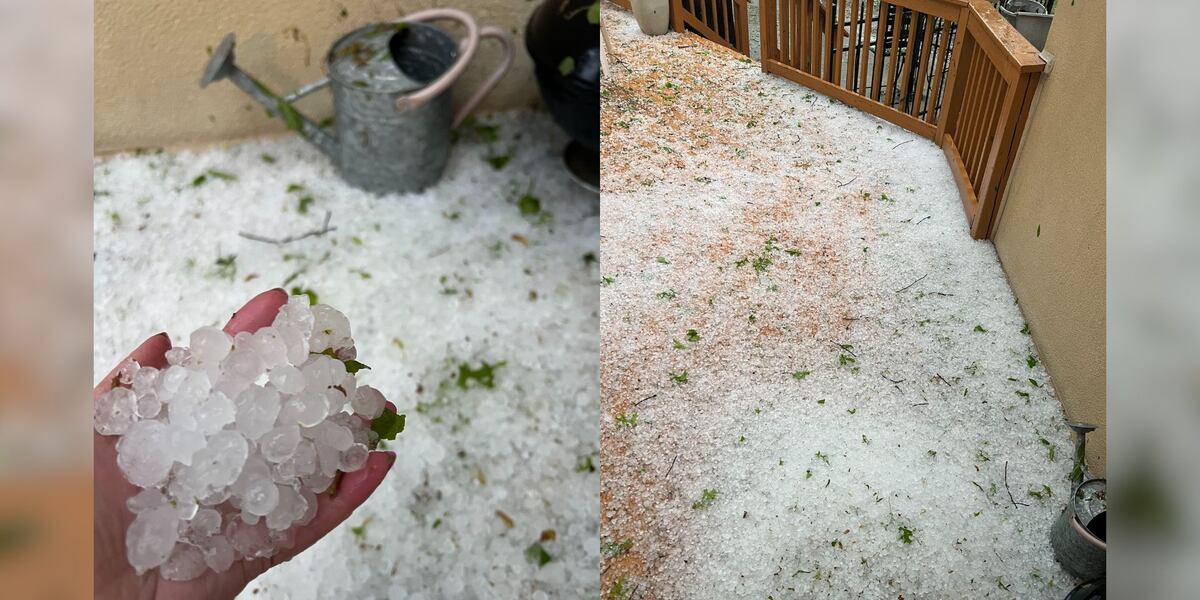 Springfield Hail Pellet-sized hail falls in Springfield