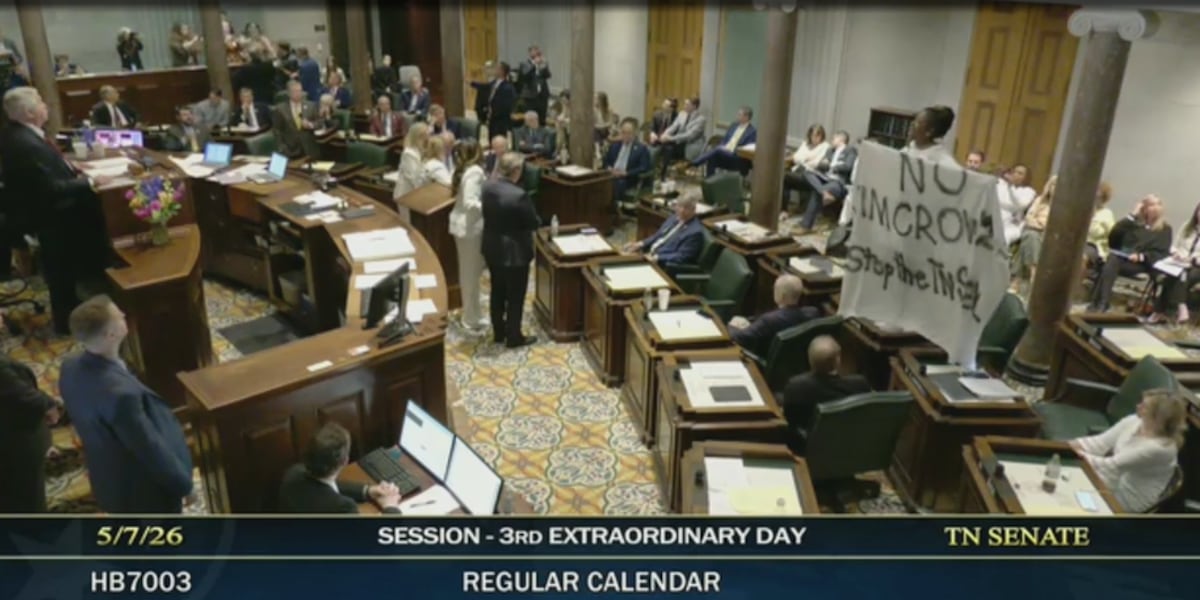 TN governor signs new congressional map into law, dividing Memphis and marking end of special session