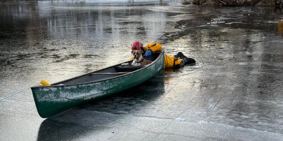 Stranded pup gets private canoe ride and rescue from frozen lake