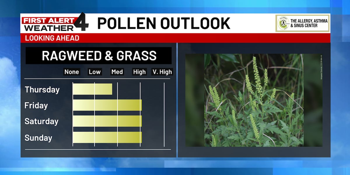 Pollen is off to the races in Middle Tennessee. Here's what you need to know