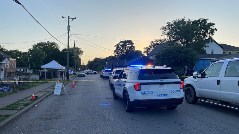 Investigation underway after shooting in Napier area