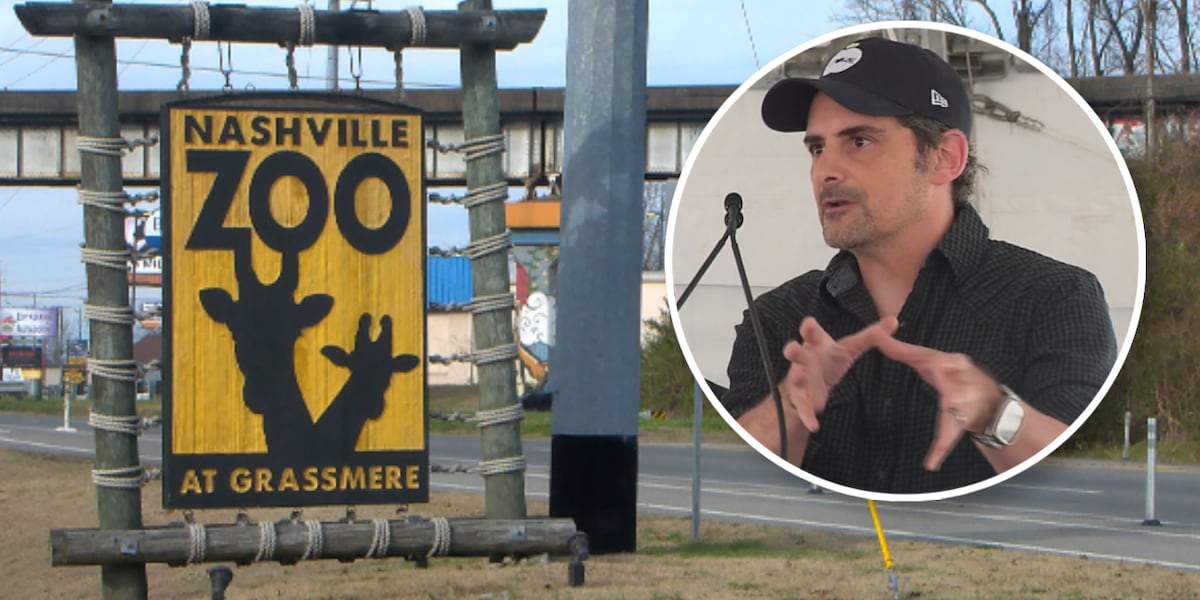 Brad Paisley issues another statement on Nashville Zoo data center: ‘A monstrosity'