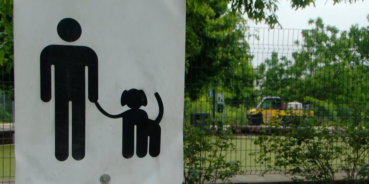 Arrest made in downtown Nashville dog park shooting