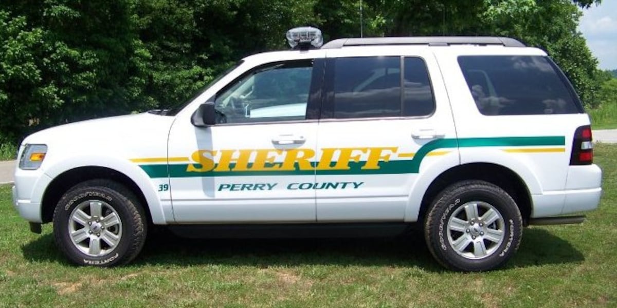Coverage image for: Toddler hit, killed by vehicle in Lobelville home’s driveway, sheriff says