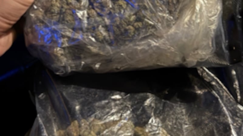 Metro Nashville Police say they've arrested a 19-year-old after he allegedly threw large bags...