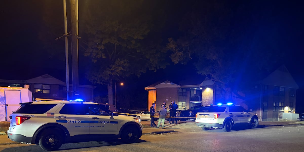 Safe gun storage concerns raised after toddler shoots himself in North Nashville