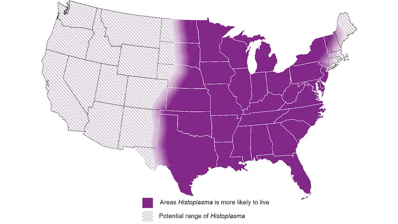 The Centers for Disease Control reports that histoplasmosis is a challenging infection to...