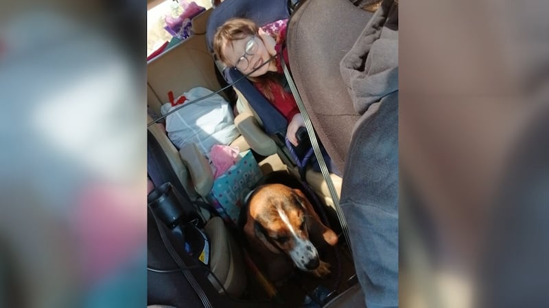 Lincoln county service dog missing