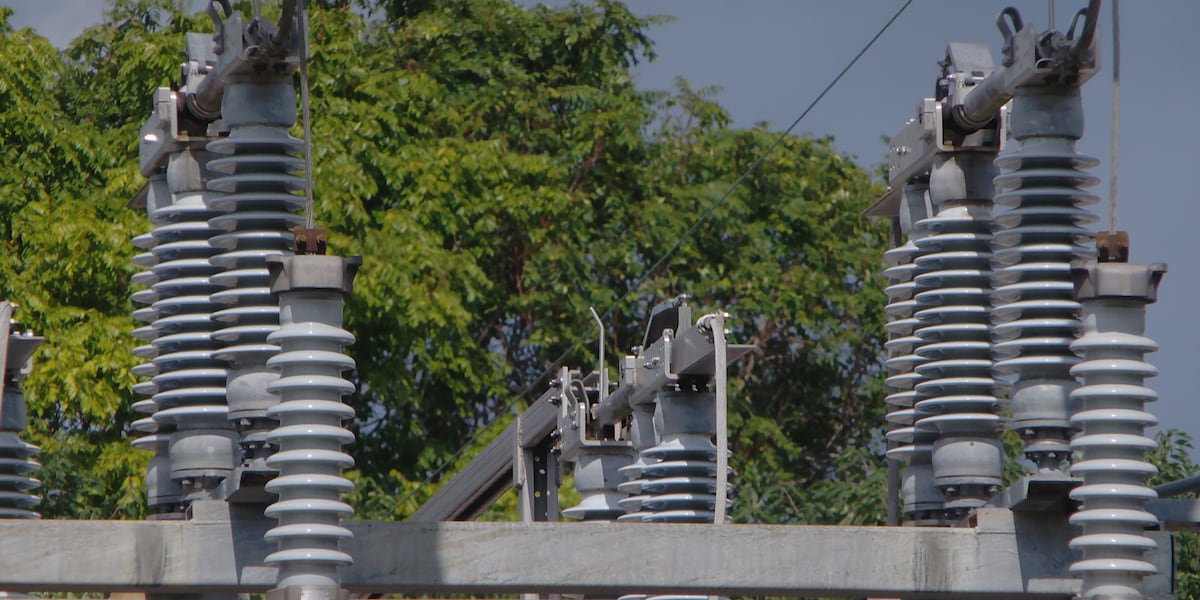 NES encourages proper Christmas tree planting to avoid future outages