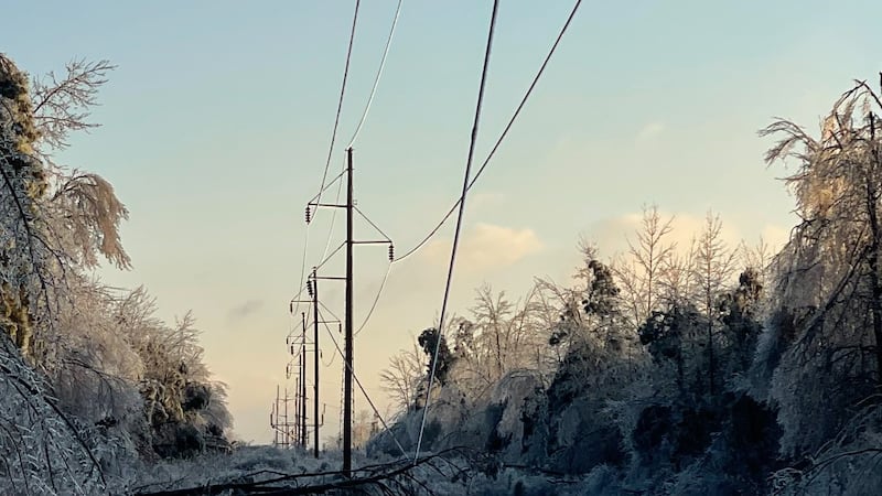 Photo from the Tennessee Valley Authority shows a frozen tundra in Tennessee with ice-covered...
