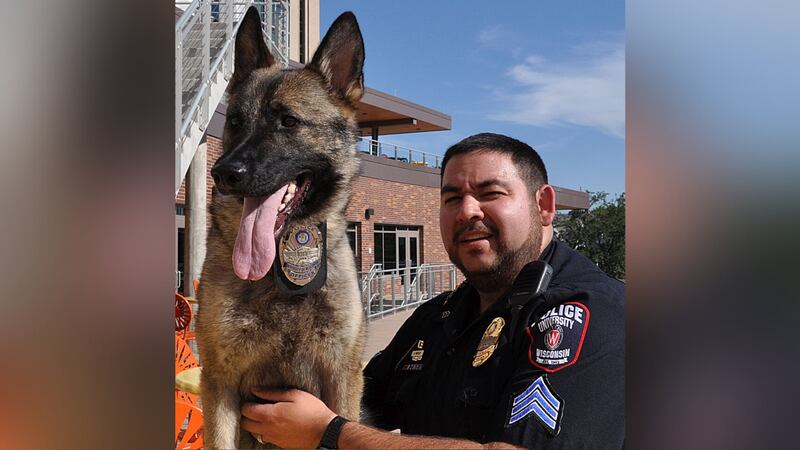 A K-9 named Maya died about a month after the police department celebrated her retirement.