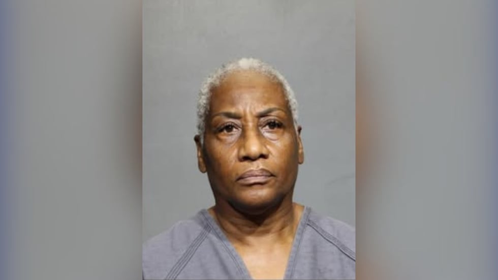 Woman arrested after running over 11 ducklings because they made a mess ...