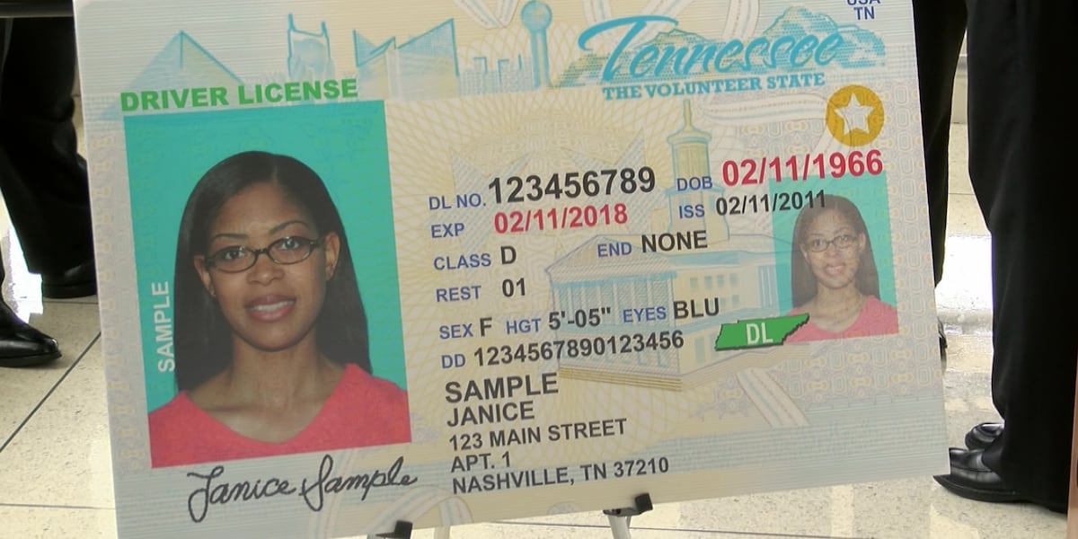 tennessee tobacco license Swamplands Plate Tennessee moves forward with vertical