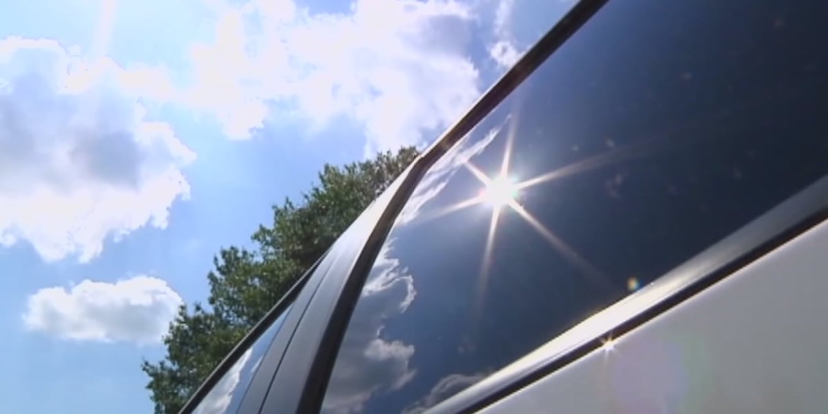 ‘Look before you lock': Preventing hot car deaths as TN enters its longest heat wave so far this year