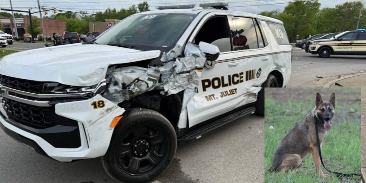 Car Accidents