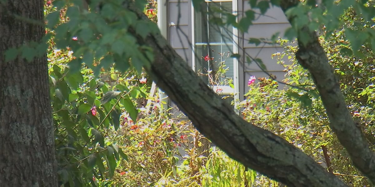7-month-old baby found dead in unlicensed Smyrna daycare
