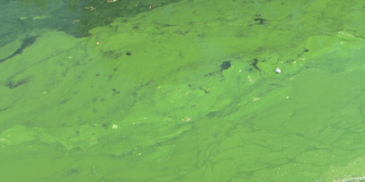 Centennial Park lake odor traced to dying algae, repairs underway