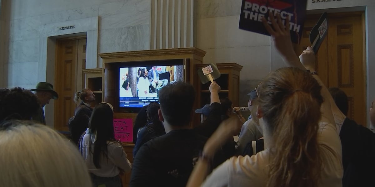 Tennessee congressional map changes draw hundreds of protesters to ...