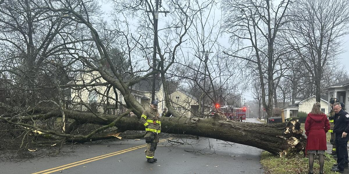 Tree Knocks Large tree knocks out power in Murfreesboro