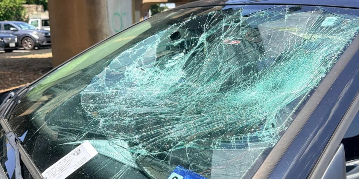 More than 80 cars vandalized after man smashes windshields with brick