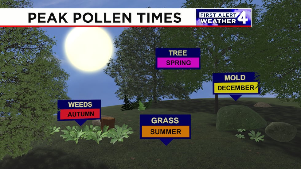 Tree pollen is greatest in the Spring.