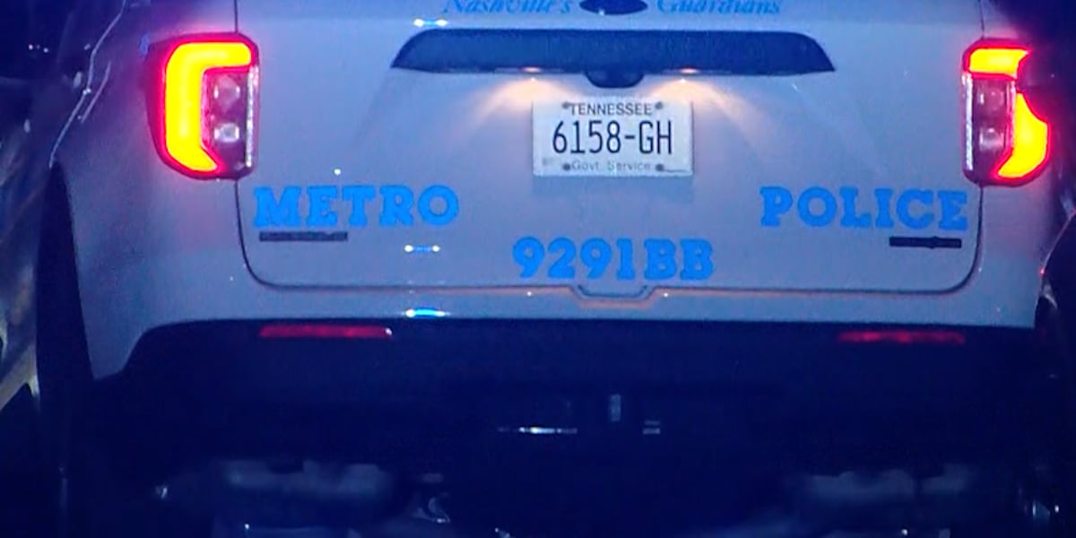 Police: Man kills stepson before turning the gun on himself