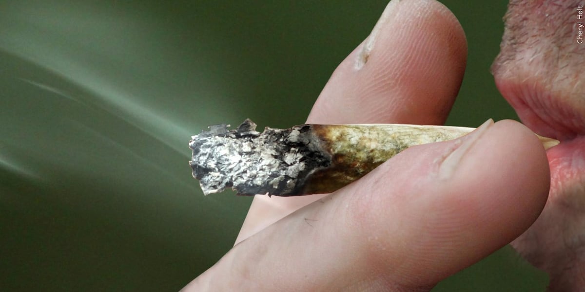 ‘Pot for Potholes’ is back as Tennessee lawmakers once again push for ...