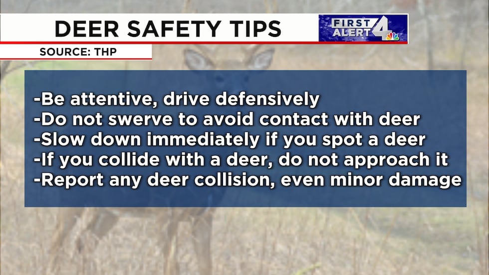 Deer Rut Safety Deer crashes on the rise in November