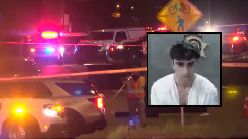 Louis John Artal, 19, has been identified as the suspect and made his first court appearance...