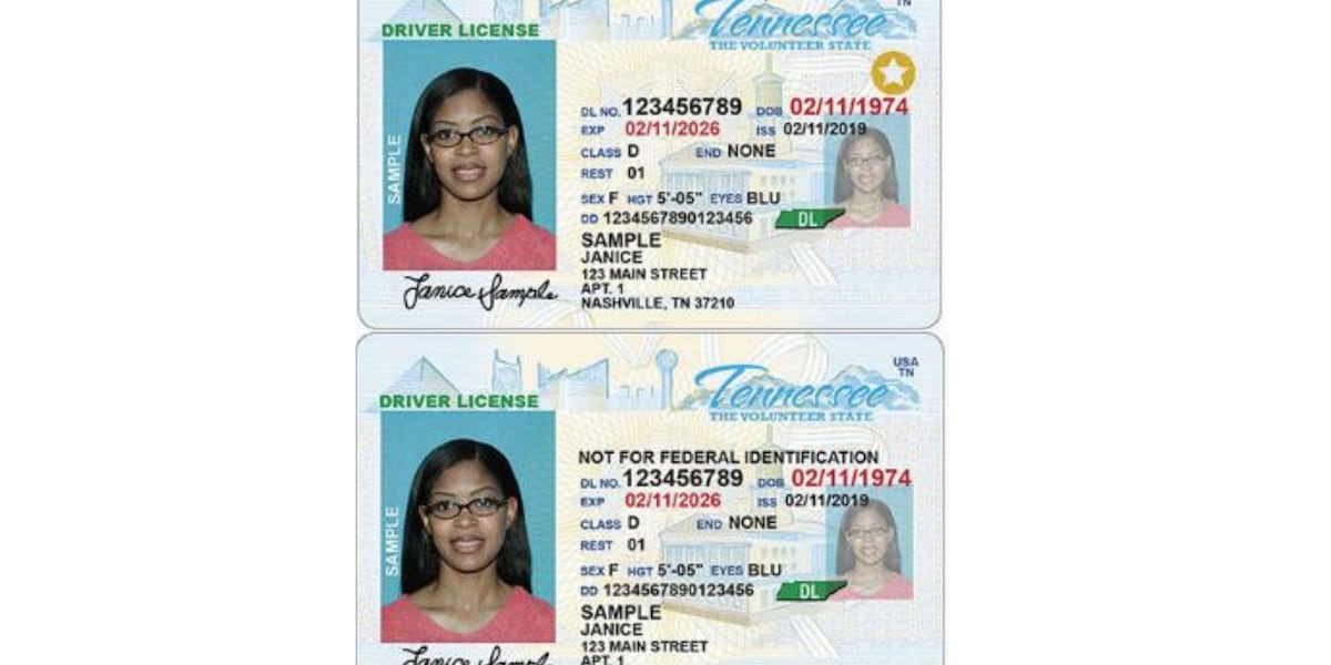 Everything you need to know about REAL IDs