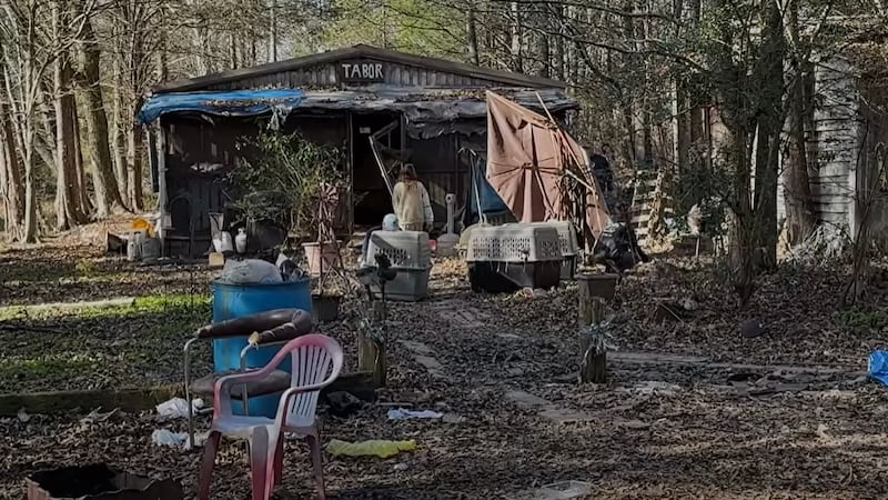 Nonprofit rescues 11 ‘emaciated and suffering’ animals from Tennessee property ahead of...