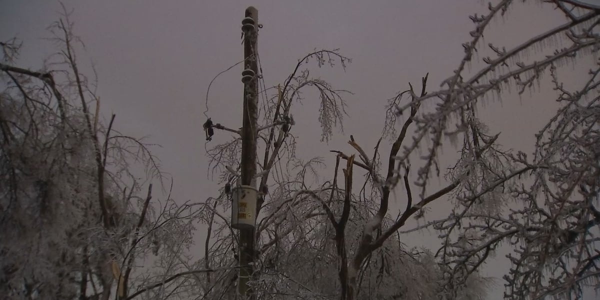 Mobile disaster recovery centers will open early May to help Tennesseans apply for assistance related to January winter storm