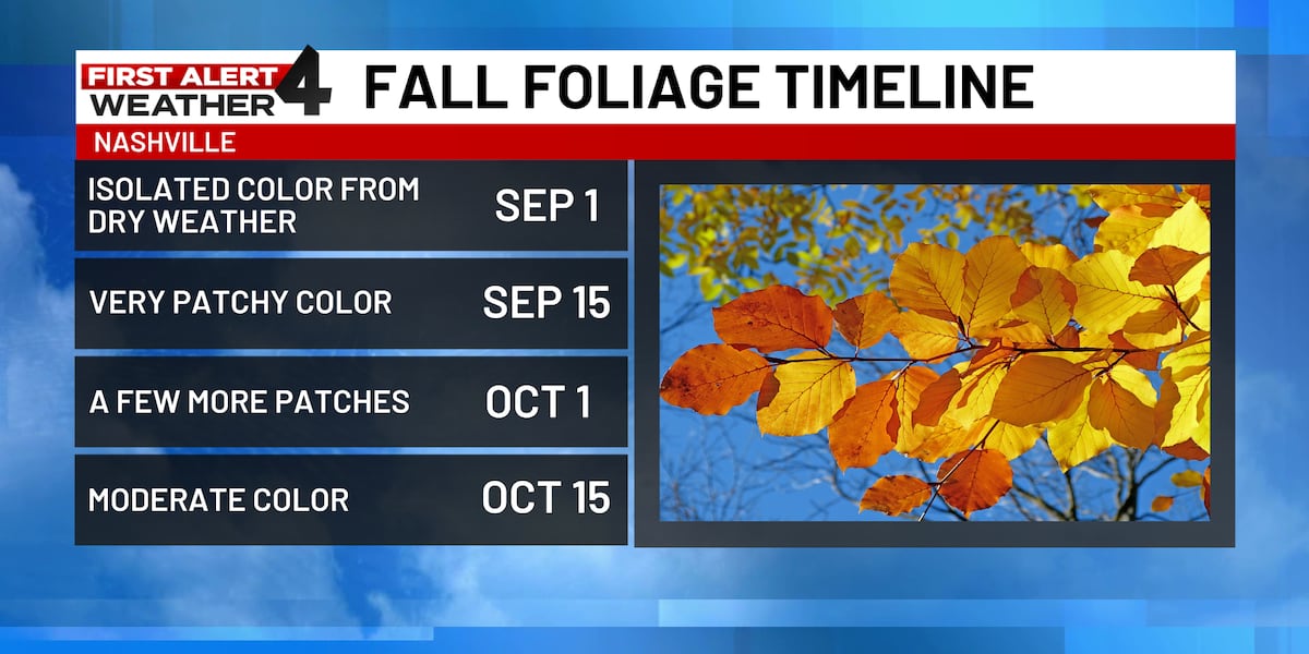 Here's when the leaves will turn colors for fall in Middle Tennessee