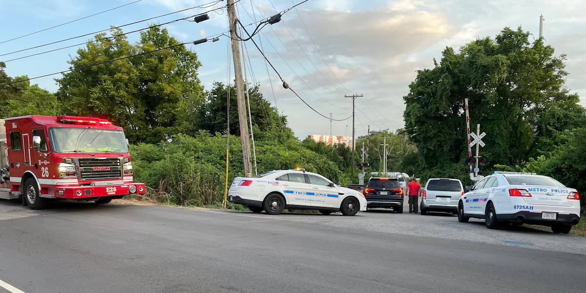 Assault News Image