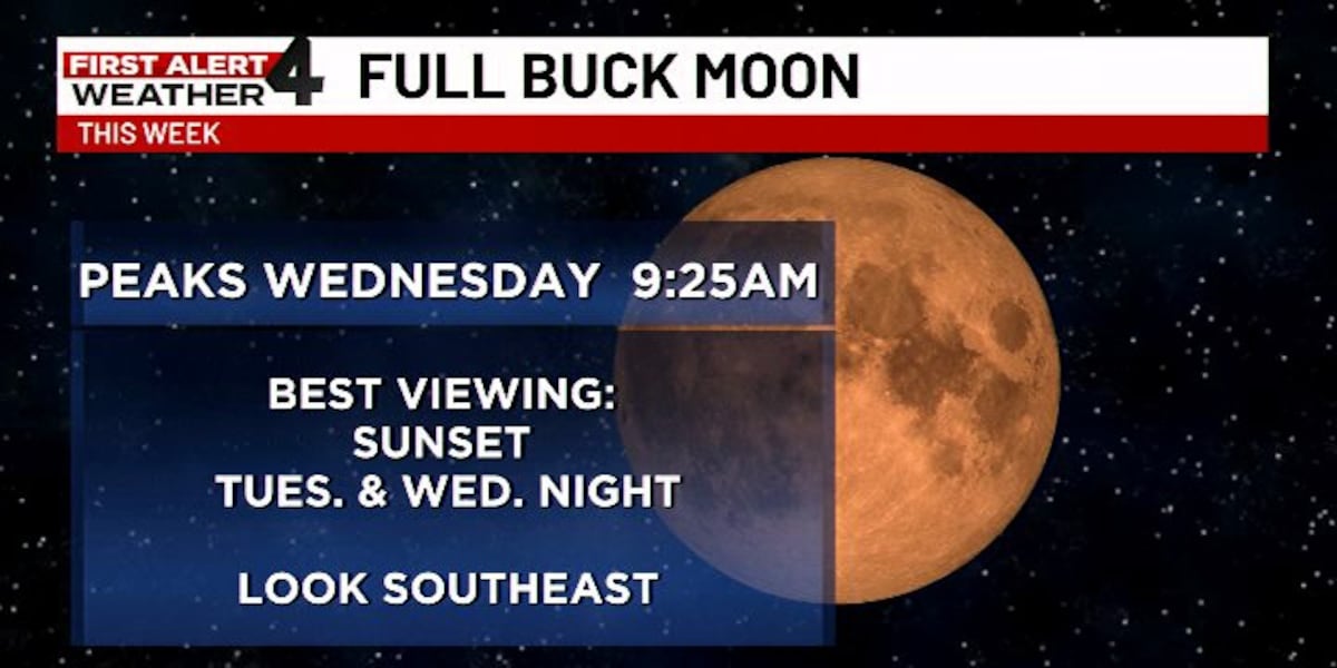 Photo: WSMV