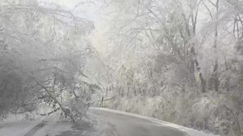 Couchville Pike by the airport is still covered in fallen trees and ice following this...