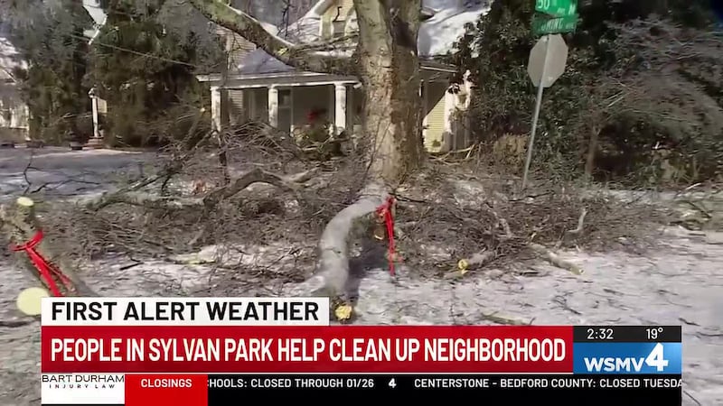 Neighbors woke up to the sounds of trees cracking and falling, causing damage in parts of the...