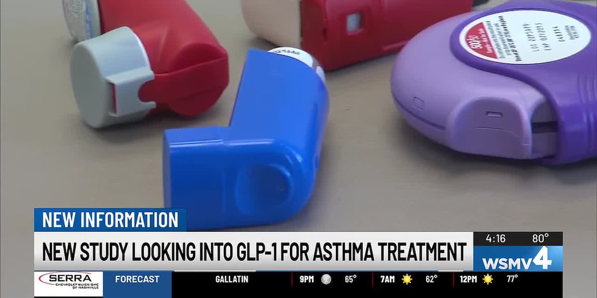 New study looking into GLP-1 for asthma treatment New study looking into GLP-1 for asthma treatment