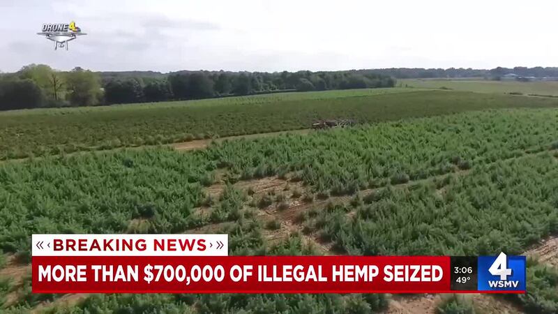 “This settlement is more than a financial recovery—it’s a critical statement about law...